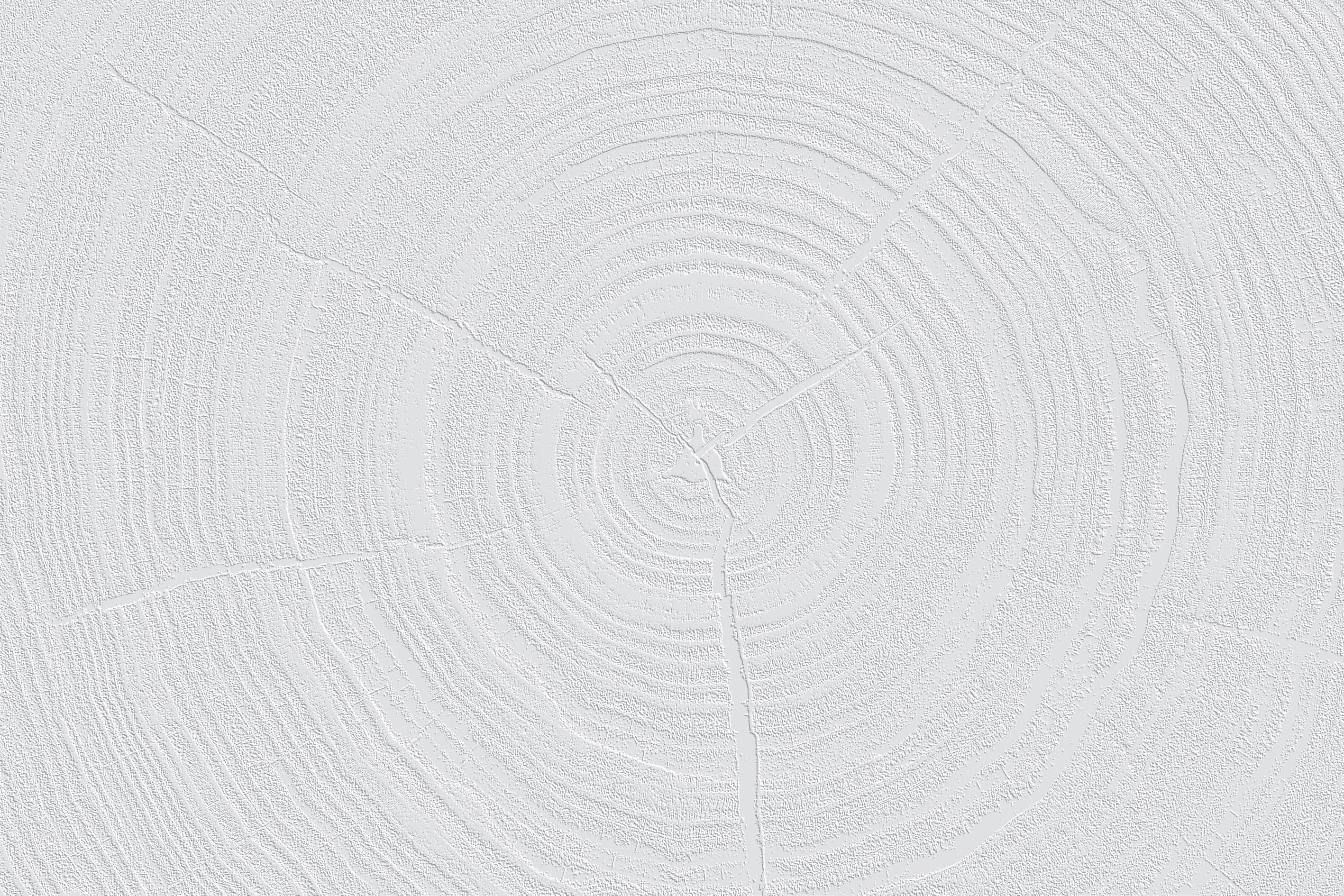 Tree Record