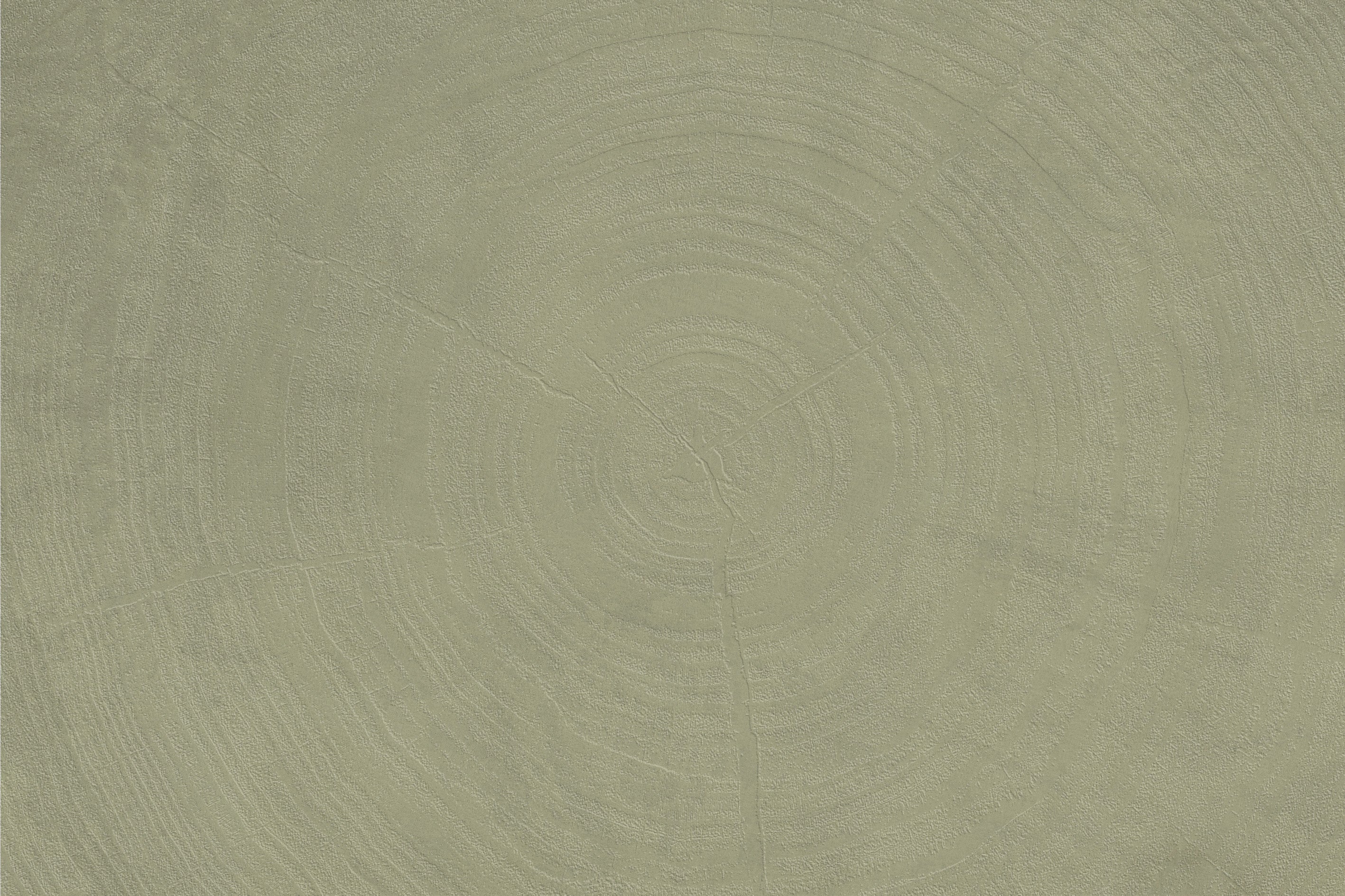 Tree Record