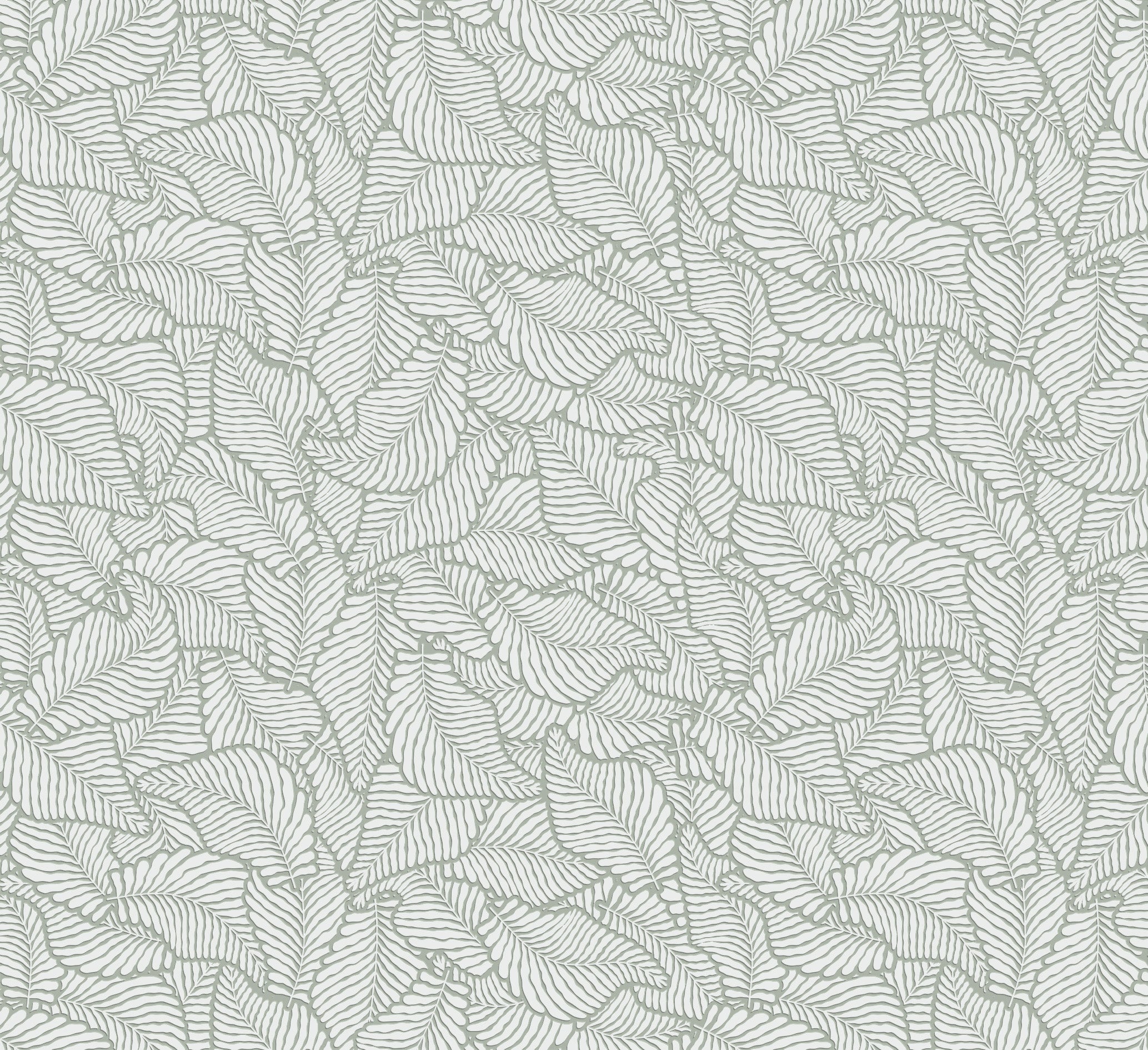 Canopy