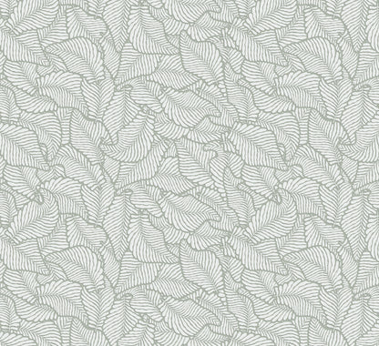 Canopy