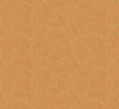 Canopy