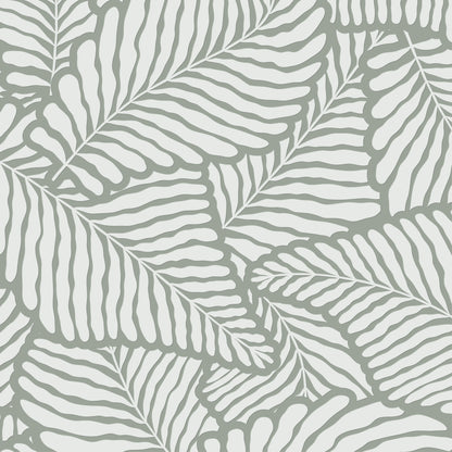 Canopy