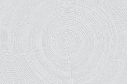 Tree Record