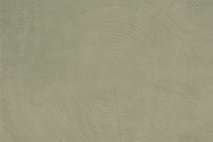 Tree Record